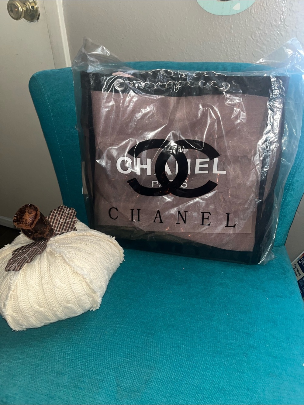 Chanel Beaute Mesh Bag with silver hardware